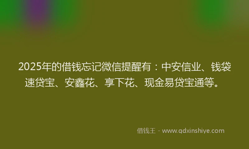 2025年的借钱忘记微信提醒有：中安信业、钱袋速贷宝、安鑫花、享下花、现金易贷宝通等。