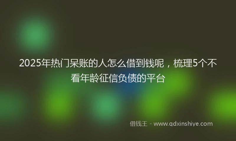 2025年热门呆账的人怎么借到钱呢，梳理5个不看年龄征信负债的平台