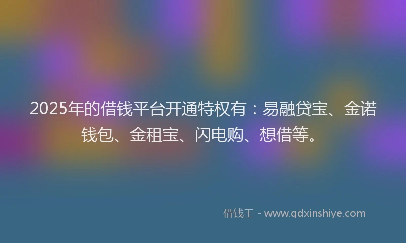 2025年的借钱平台开通特权有：易融贷宝、金诺钱包、金租宝、闪电购、想借等。