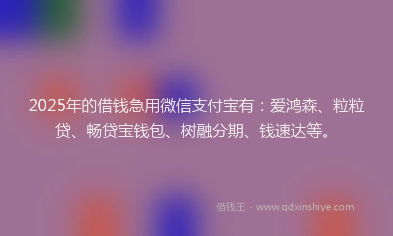 2025年的借钱急用微信支付宝有：爱鸿森、粒粒贷、畅贷宝钱包、树融分期、钱速达等。