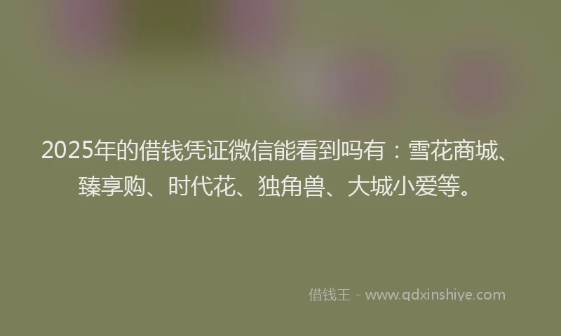 2025年的借钱凭证微信能看到吗有：雪花商城、臻享购、时代花、独角兽、大城小爱等。