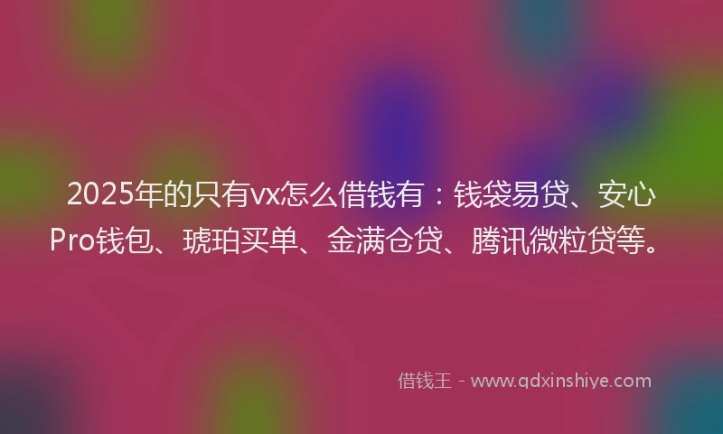 2025年的只有vx怎么借钱有：钱袋易贷、安心Pro钱包、琥珀买单、金满仓贷、腾讯微粒贷等。