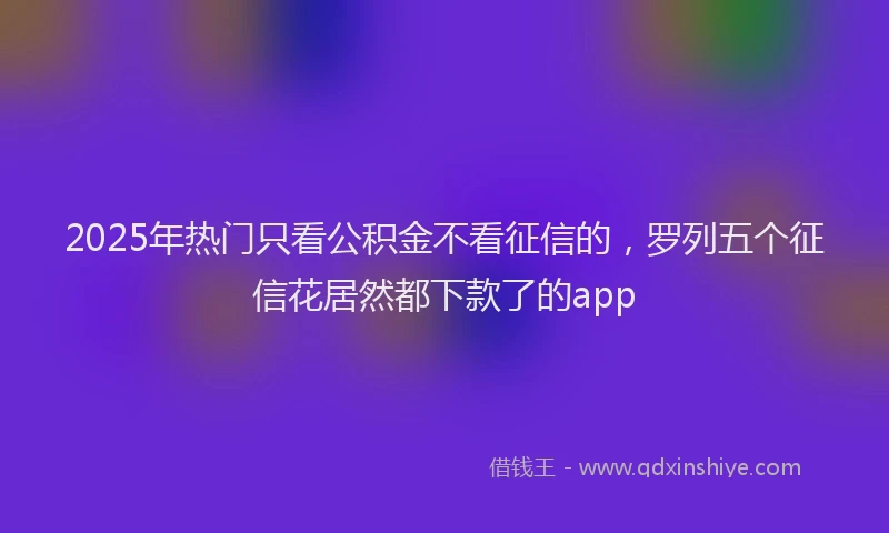 2025年热门只看公积金不看征信的，罗列五个征信花居然都下款了的app