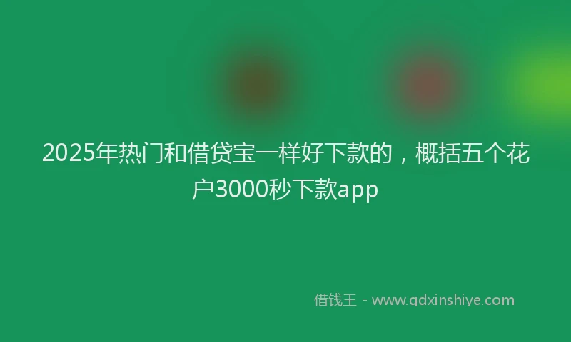 2025年热门和借贷宝一样好下款的，概括五个花户3000秒下款app