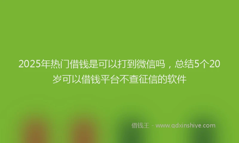 2025年热门借钱是可以打到微信吗，总结5个20岁可以借钱平台不查征信的软件