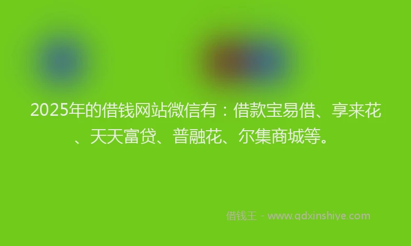 2025年的借钱网站微信有：借款宝易借、享来花、天天富贷、普融花、尔集商城等。