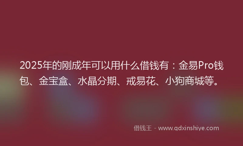 2025年的刚成年可以用什么借钱有：金易Pro钱包、金宝盒、水晶分期、戒易花、小狗商城等。