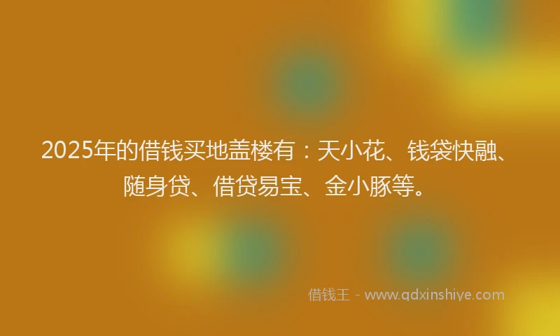 2025年的借钱买地盖楼有：天小花、钱袋快融、随身贷、借贷易宝、金小豚等。