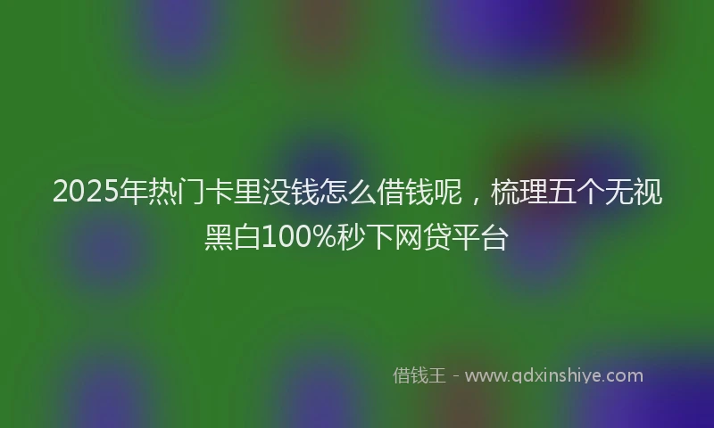 2025年热门卡里没钱怎么借钱呢，梳理五个无视黑白100%秒下网贷平台