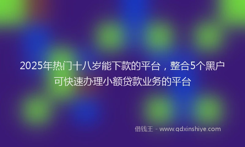 2025年热门十八岁能下款的平台，整合5个黑户可快速办理小额贷款业务的平台