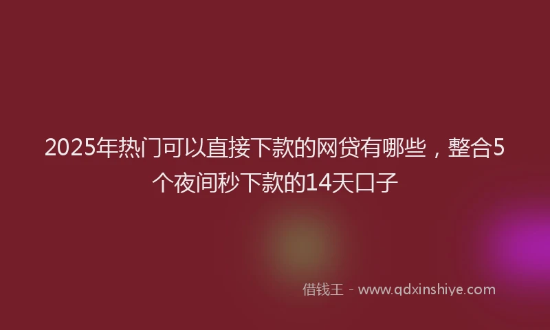 2025年热门可以直接下款的网贷有哪些，整合5个夜间秒下款的14天口子