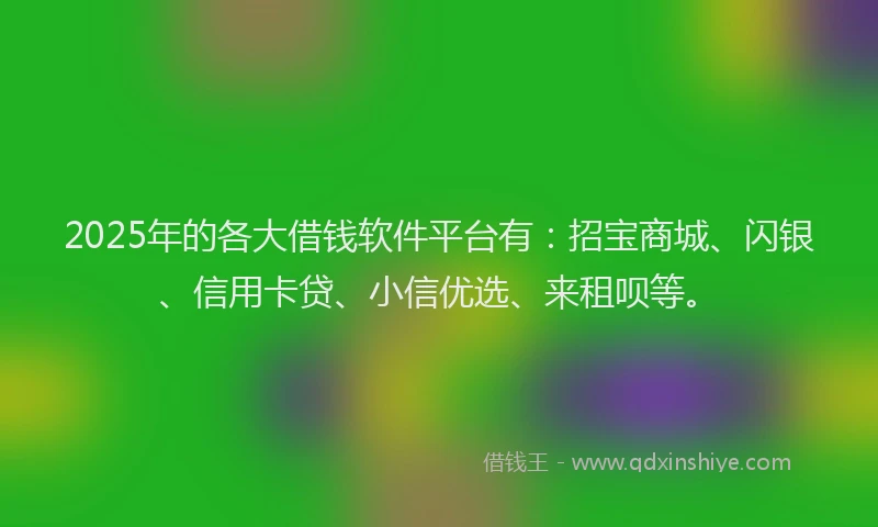 2025年的各大借钱软件平台有：招宝商城、闪银、信用卡贷、小信优选、来租呗等。