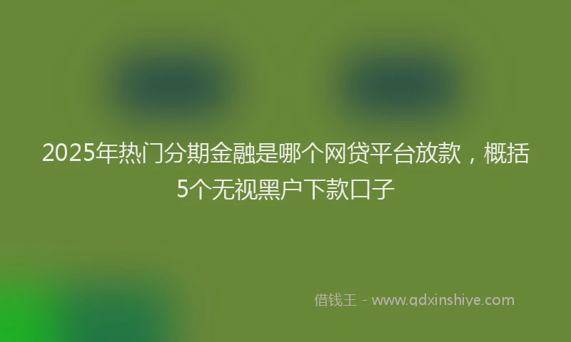 2025年热门分期金融是哪个网贷平台放款，概括5个无视黑户下款口子