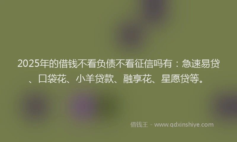 2025年的借钱不看负债不看征信吗有：急速易贷、口袋花、小羊贷款、融享花、星愿贷等。