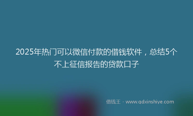 2025年热门可以微信付款的借钱软件，总结5个不上征信报告的贷款口子