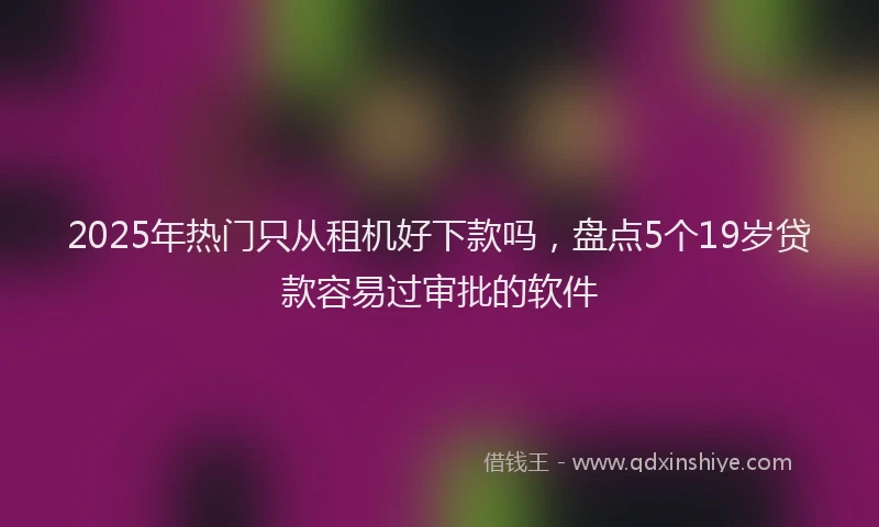 2025年热门只从租机好下款吗，盘点5个19岁贷款容易过审批的软件