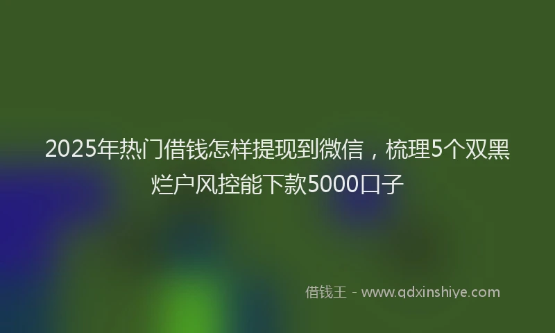 2025年热门借钱怎样提现到微信，梳理5个双黑烂户风控能下款5000口子