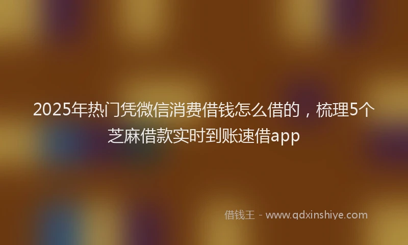 2025年热门凭微信消费借钱怎么借的，梳理5个芝麻借款实时到账速借app