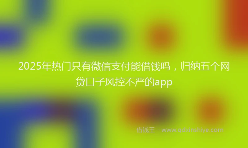 2025年热门只有微信支付能借钱吗，归纳五个网贷口子风控不严的app