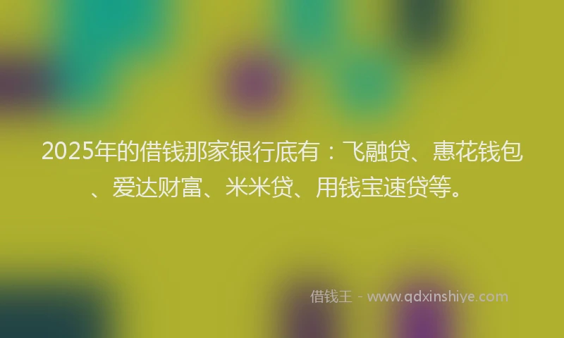 2025年的借钱那家银行底有：飞融贷、惠花钱包、爱达财富、米米贷、用钱宝速贷等。