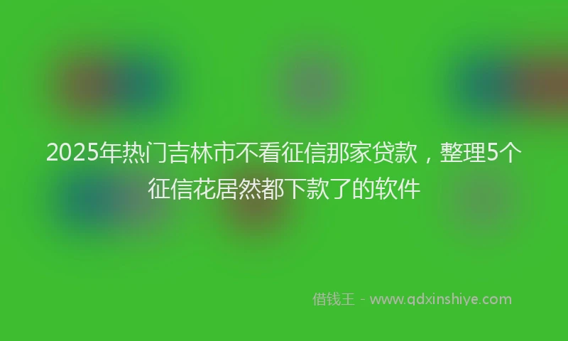 2025年热门吉林市不看征信那家贷款，整理5个征信花居然都下款了的软件