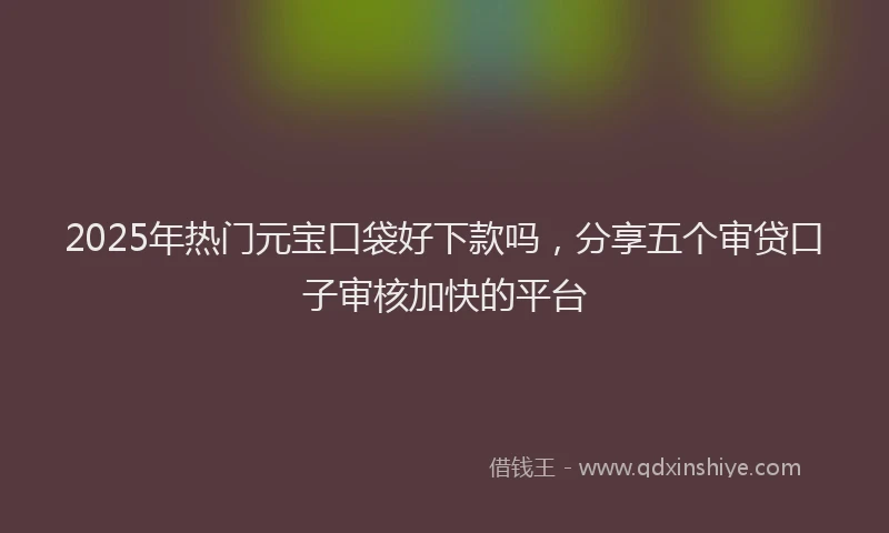 2025年热门元宝口袋好下款吗，分享五个审贷口子审核加快的平台