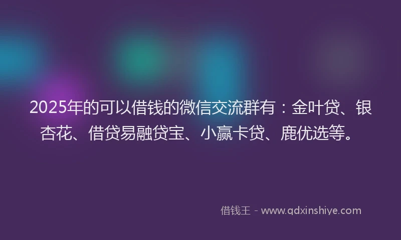 2025年的可以借钱的微信交流群有：金叶贷、银杏花、借贷易融贷宝、小赢卡贷、鹿优选等。