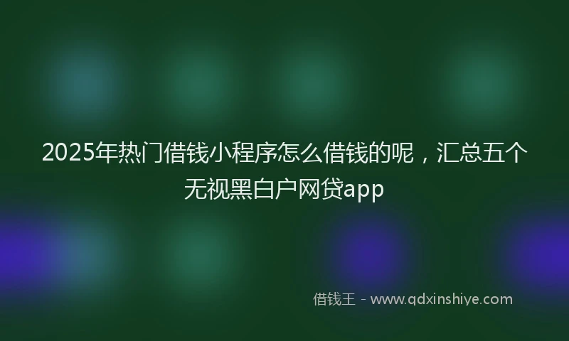 2025年热门借钱小程序怎么借钱的呢，汇总五个无视黑白户网贷app