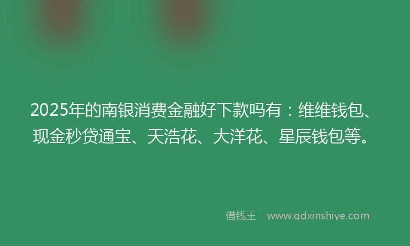 2025年的南银消费金融好下款吗有：维维钱包、现金秒贷通宝、天浩花、大洋花、星辰钱包等。
