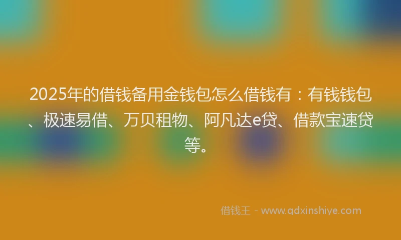 2025年的借钱备用金钱包怎么借钱有：有钱钱包、极速易借、万贝租物、阿凡达e贷、借款宝速贷等。