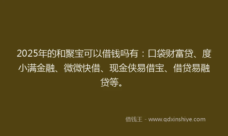 2025年的和聚宝可以借钱吗有：口袋财富贷、度小满金融、微微快借、现金侠易借宝、借贷易融贷等。
