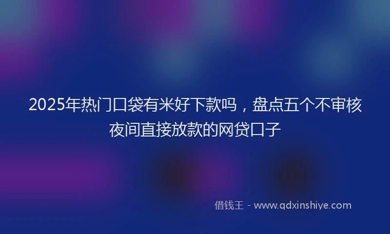 2025年热门口袋有米好下款吗，盘点五个不审核夜间直接放款的网贷口子