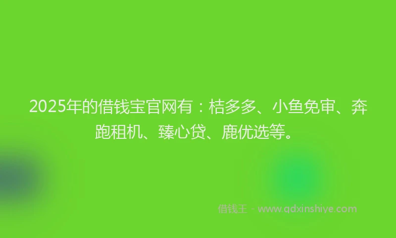2025年的借钱宝官网有：桔多多、小鱼免审、奔跑租机、臻心贷、鹿优选等。