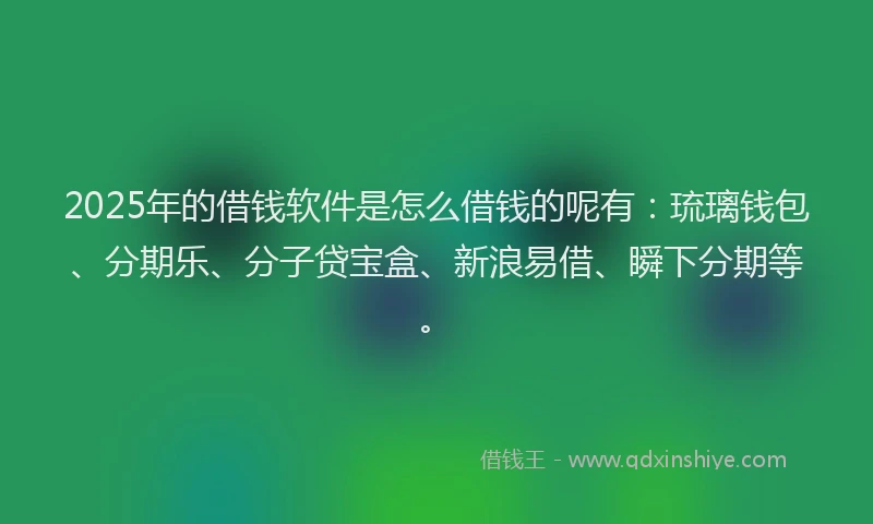 2025年的借钱软件是怎么借钱的呢有：琉璃钱包、分期乐、分子贷宝盒、新浪易借、瞬下分期等。