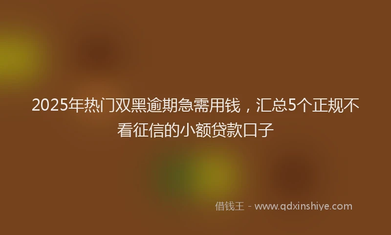 2025年热门双黑逾期急需用钱，汇总5个正规不看征信的小额贷款口子