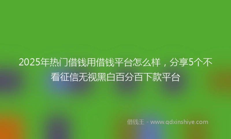 2025年热门借钱用借钱平台怎么样，分享5个不看征信无视黑白百分百下款平台