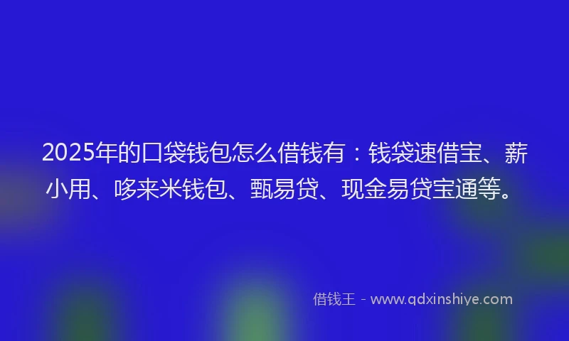 2025年的口袋钱包怎么借钱有：钱袋速借宝、薪小用、哆来米钱包、甄易贷、现金易贷宝通等。