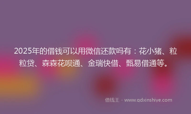 2025年的借钱可以用微信还款吗有：花小猪、粒粒贷、森森花呗通、金瑞快借、甄易借通等。