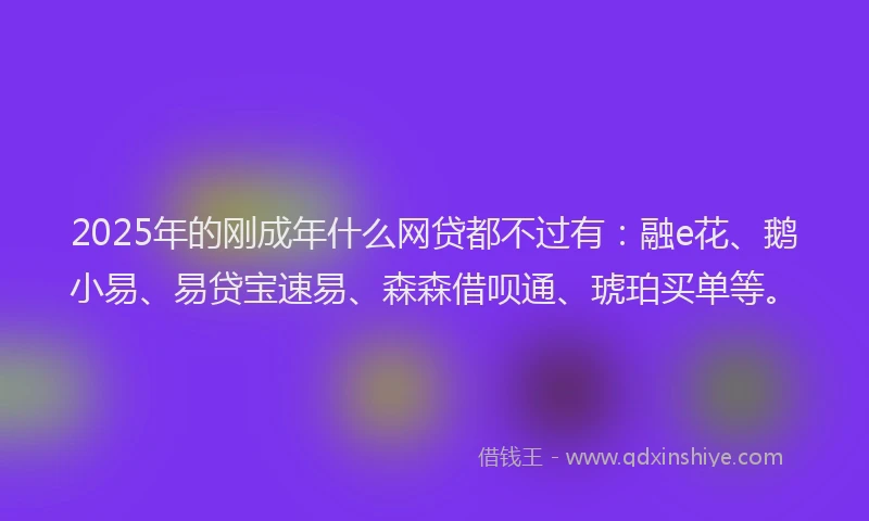 2025年的刚成年什么网贷都不过有：融e花、鹅小易、易贷宝速易、森森借呗通、琥珀买单等。