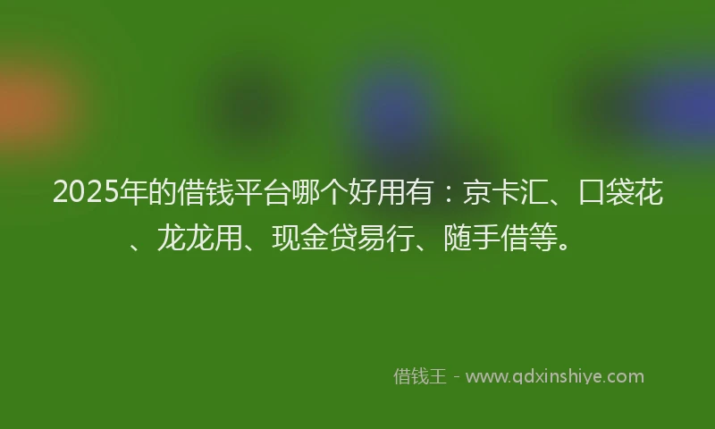 2025年的借钱平台哪个好用有：京卡汇、口袋花、龙龙用、现金贷易行、随手借等。