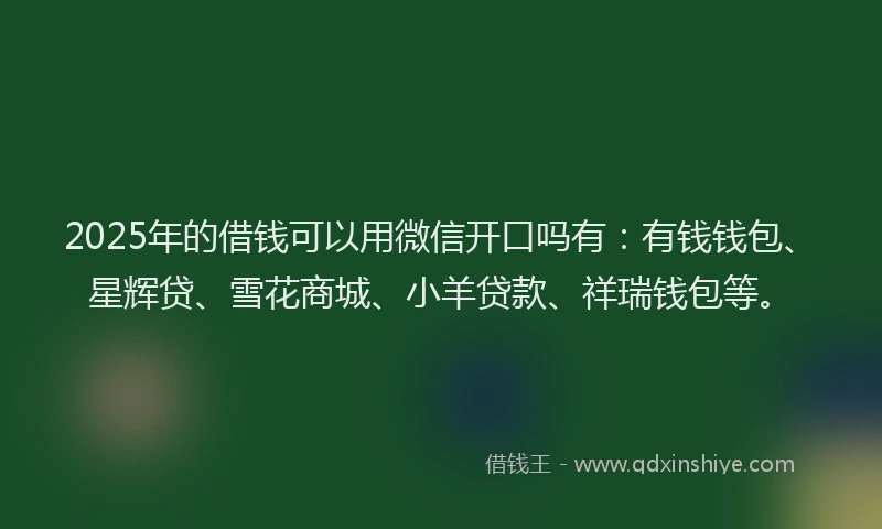 2025年的借钱可以用微信开口吗有：有钱钱包、星辉贷、雪花商城、小羊贷款、祥瑞钱包等。