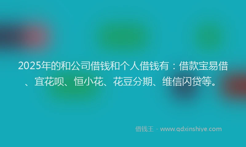 2025年的和公司借钱和个人借钱有：借款宝易借、宜花呗、恒小花、花豆分期、维信闪贷等。