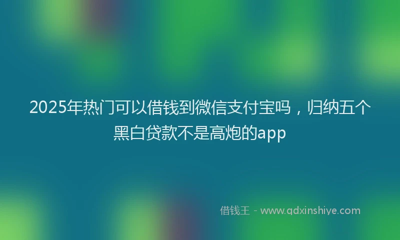 2025年热门可以借钱到微信支付宝吗，归纳五个黑白贷款不是高炮的app