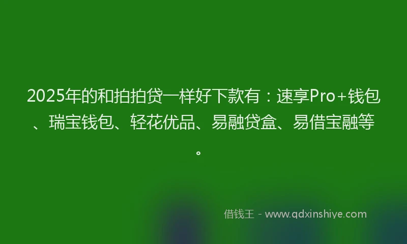 2025年的和拍拍贷一样好下款有：速享Pro+钱包、瑞宝钱包、轻花优品、易融贷盒、易借宝融等。