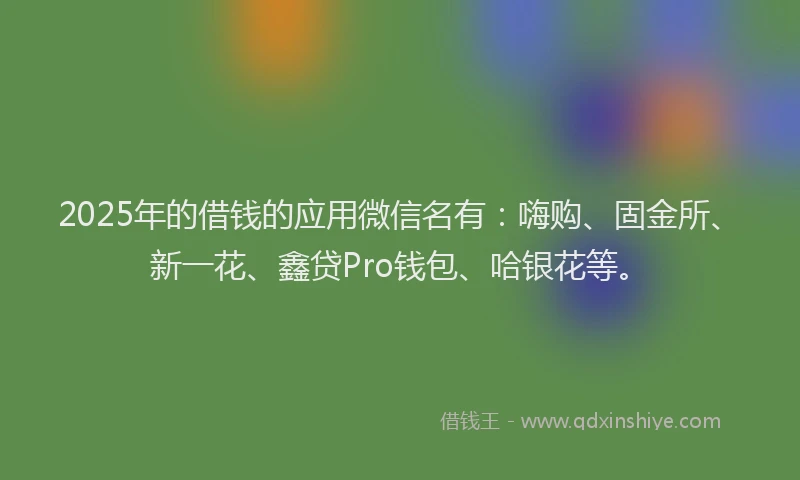 2025年的借钱的应用微信名有：嗨购、固金所、新一花、鑫贷Pro钱包、哈银花等。