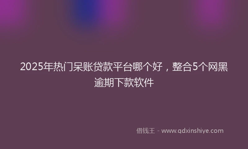 2025年热门呆账贷款平台哪个好，整合5个网黑逾期下款软件