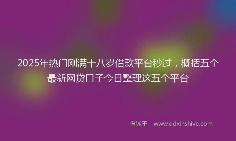 2025年热门刚满十八岁借款平台秒过，概括五个最新网贷口子今日整理这五个平台