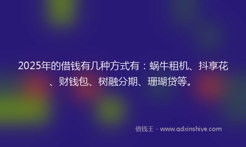 2025年的借钱有几种方式有：蜗牛租机、抖享花、财钱包、树融分期、珊瑚贷等。