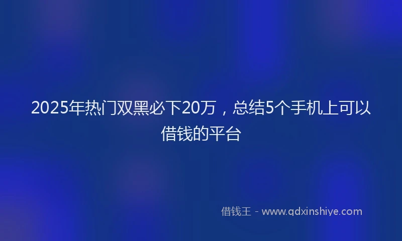 2025年热门双黑必下20万，总结5个手机上可以借钱的平台