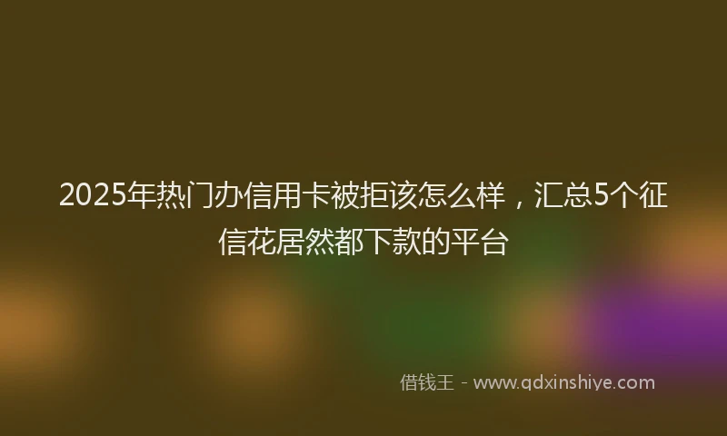 2025年热门办信用卡被拒该怎么样，汇总5个征信花居然都下款的平台